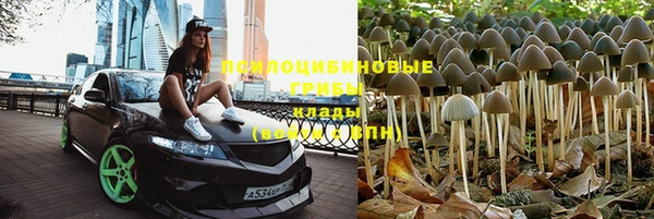 таблы Инсар