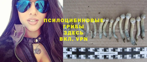 кристаллы Строитель