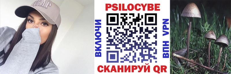 Галлюциногенные грибы MAGIC MUSHROOMS  купить наркоту  Дербент 