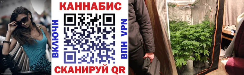 Бошки марихуана Amnesia  магазин продажи наркотиков  Дербент 